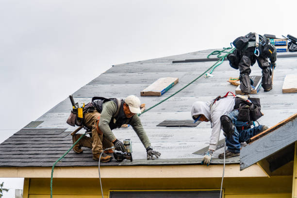 Professional Storm Damage Roof Repair technician working in Fairfield, FL